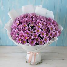 Букет цветов из:  Хризантемы #REPLACE_PRED# Косихе
