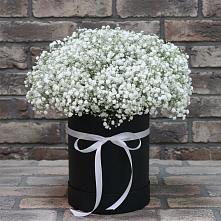 Цветочная композиция из Гипсофила в шляпной коробке #REPLACE_PRED# Косихе