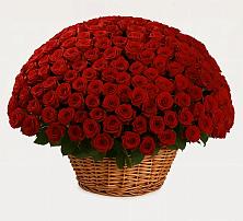 Премиум букет из: Розы в Косихе